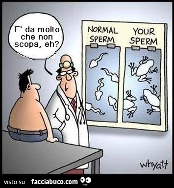 Sperma normale. Tuo sperma. È Da molto che non scopa, eh?