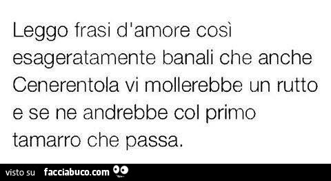 Leggo frasi d'amore cosi esageratamente banali che anche cenerentola vi mollerebbe un rutto e se ne andrebbe col primo tamarro che passa