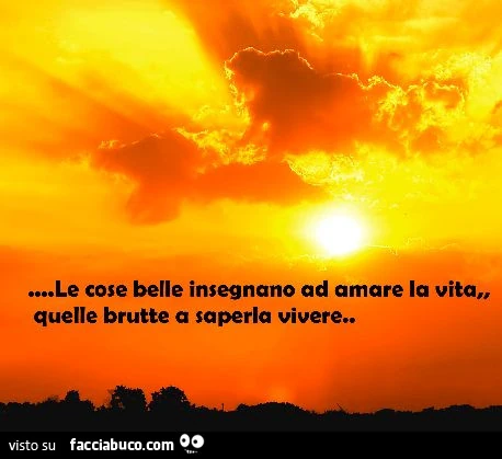 Le cose belle insegnano ad amare la vita, quelle brutte a saperla vivere