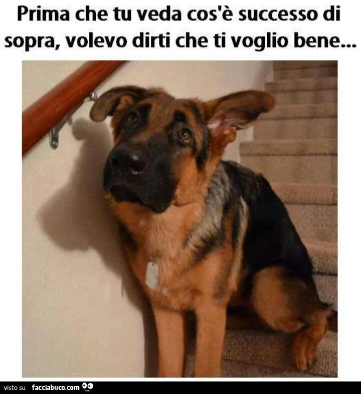 Prima che tu veda cos'è successo di sopra, volevo dirti che ti voglio bene
