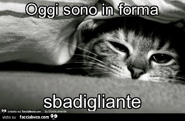 Oggi sono in forma sbadigliante