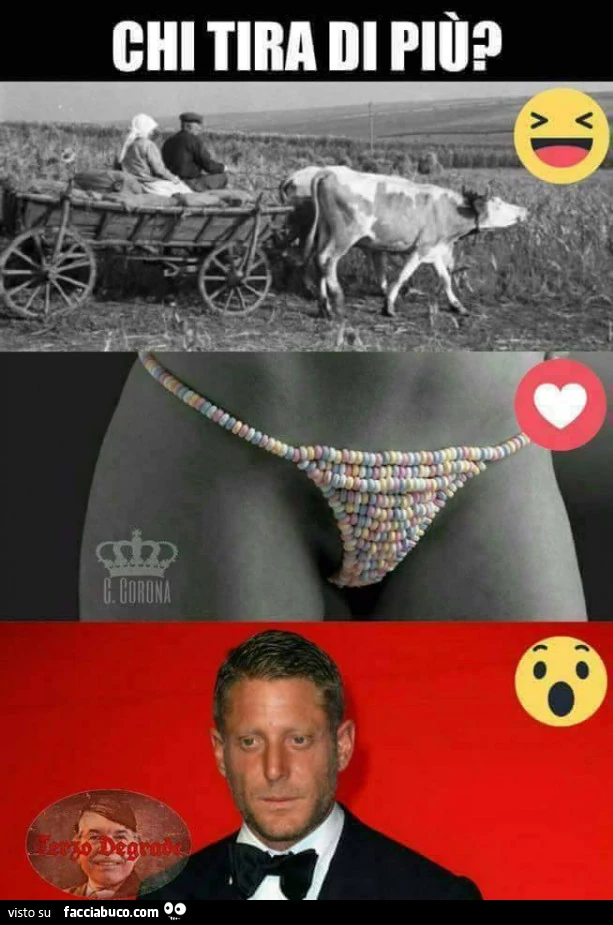 Chi tira di più? Carro di buoi, pelo di figa, o Lapo Elkann?