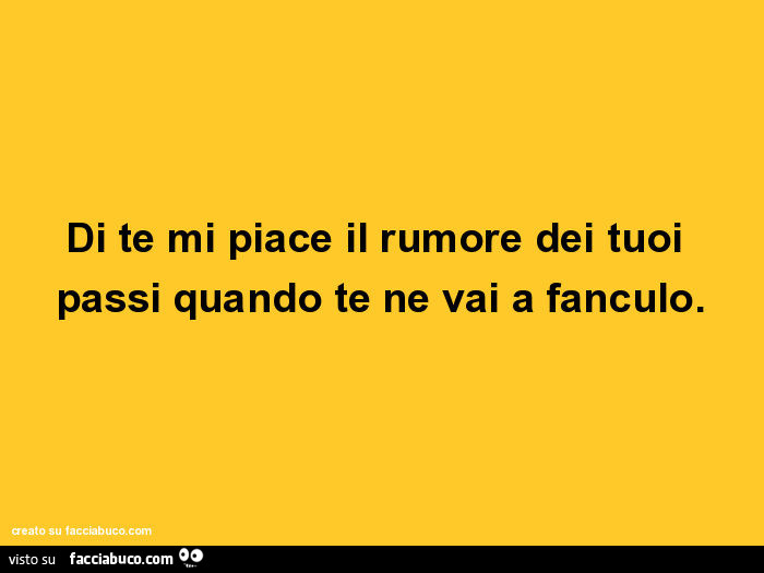 Di te mi piace il rumore dei tuoi passi quando te ne vai a fanculo