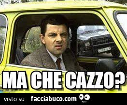 Vaccata