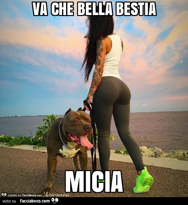 Va che bella bestia. Micia